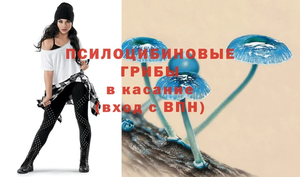 соль ск Аркадак