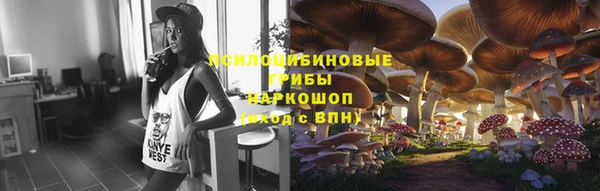 таблы Новодвинск