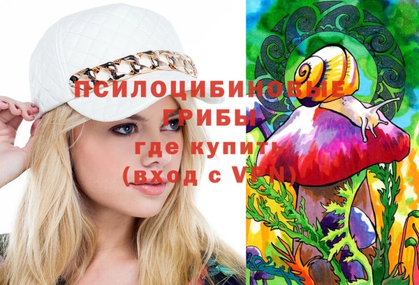 spice Новозыбков