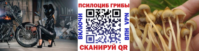 Галлюциногенные грибы прущие грибы  это состав  Струнино  продажа наркотиков 